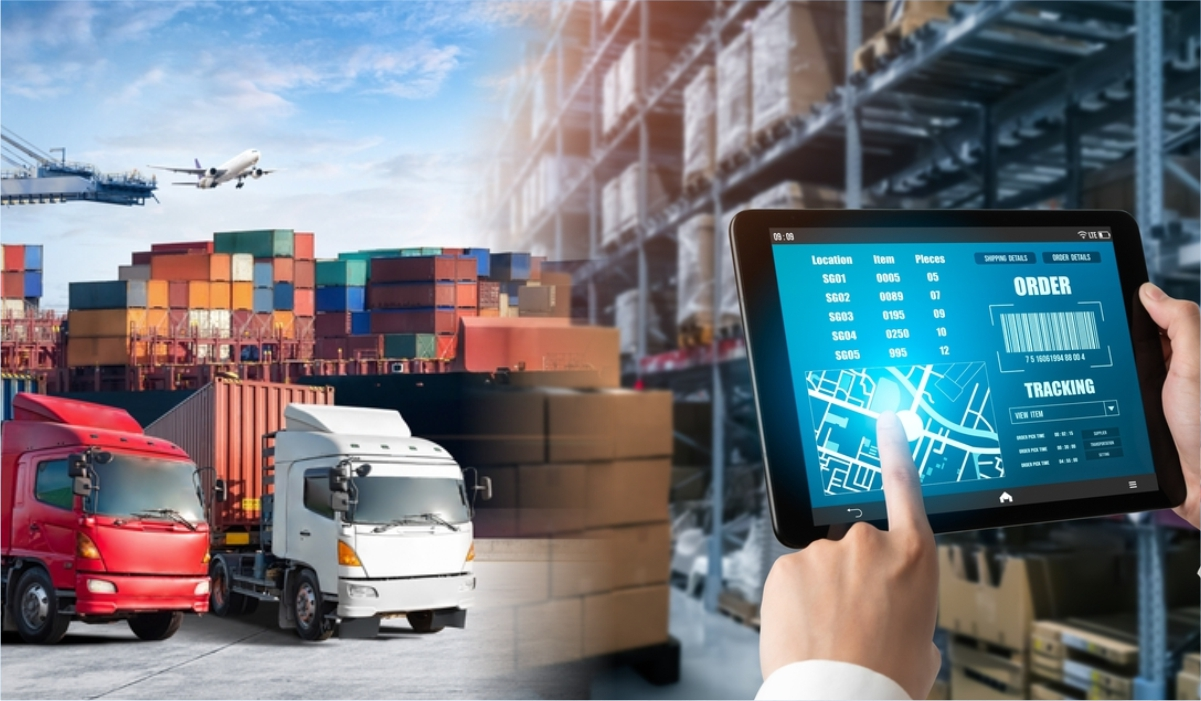 Logistics and supply chain professionals